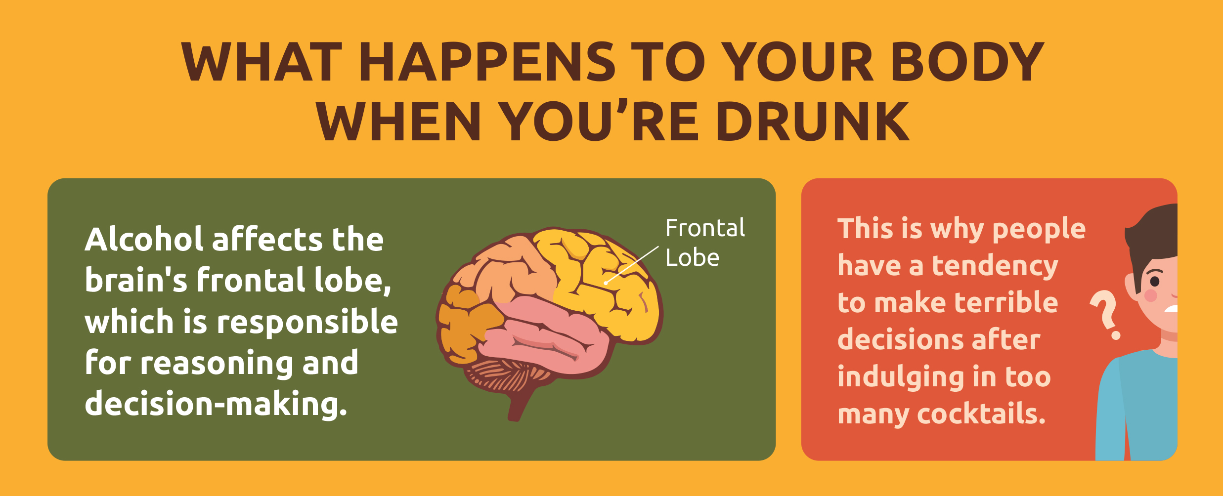 What Happens When Youre Drunk Infographic